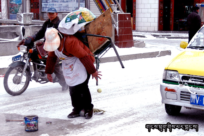 乱拍 摄影 雪域之子