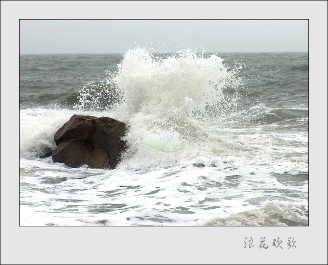 浪花飞歌 摄影 山野布衣