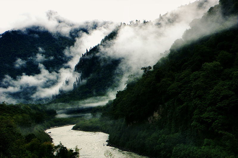 腾云驾雾的山 摄影 这里.那里