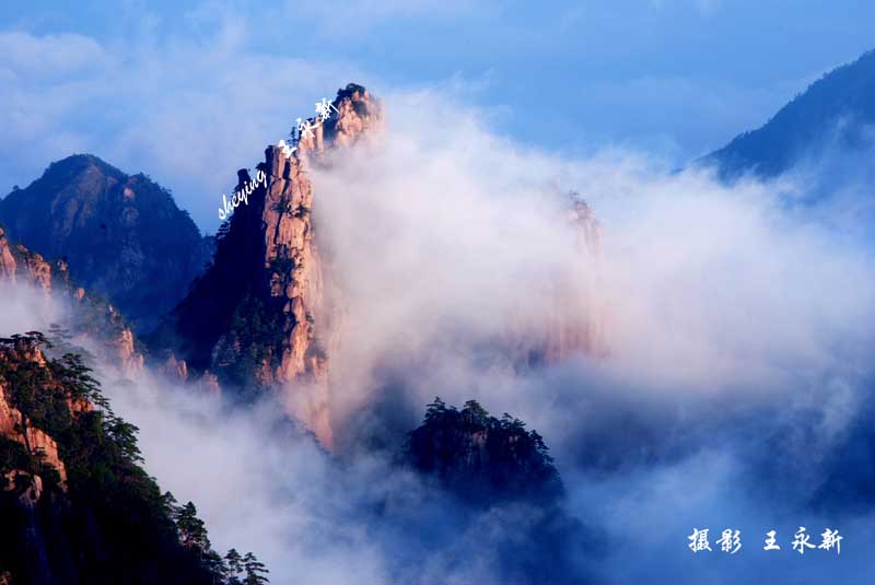 苍茫秀色 摄影 黄山风光