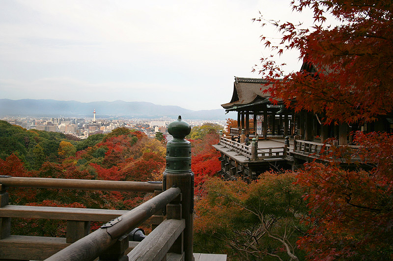 京都红叶—— 清水寺 摄影 漂泊的云