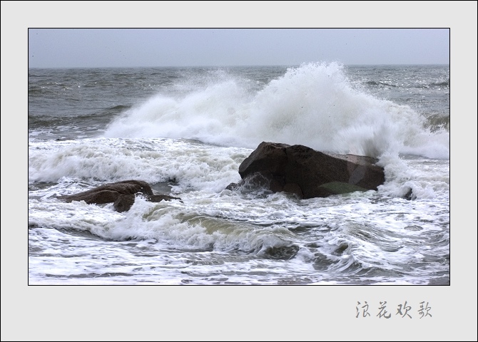 浪花飞歌 摄影 山野布衣