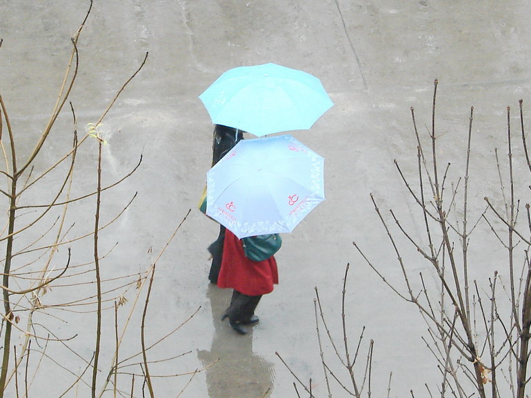 秋雨情 摄影 逍遥无忌