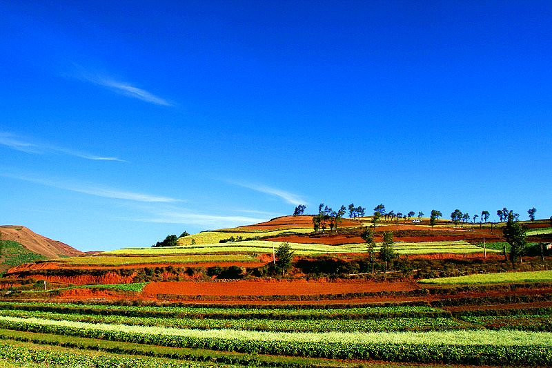 红土地 摄影 彩云之客