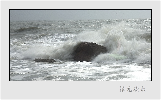 浪花飞歌 摄影 山野布衣