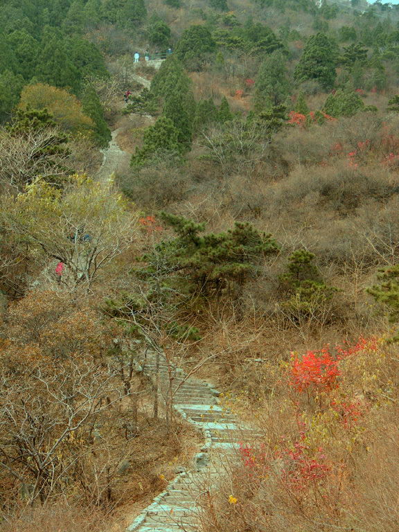 山路秋色 摄影 新观察