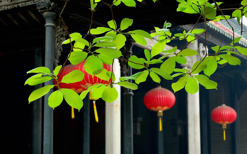 陈家祠 摄影 彩色的云