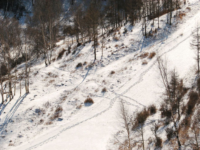 寒山孤履 摄影 雪岩