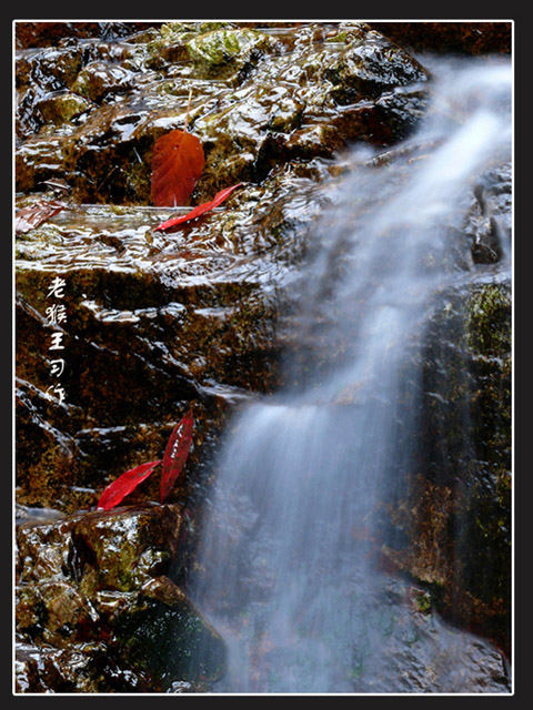 秋水有意 摄影 guyuan