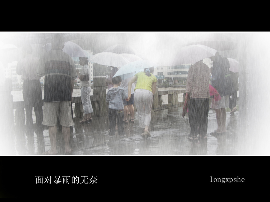 面对暴雨的无奈 摄影 longxp