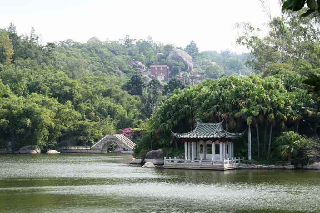 厦门植物园 摄影 影惠友