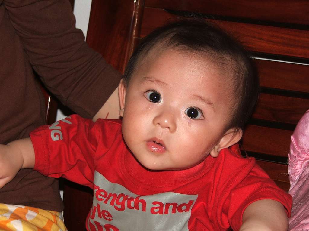 可爱的BB 摄影 tomas