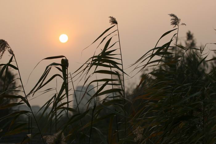 夕阳 摄影 三十四而立