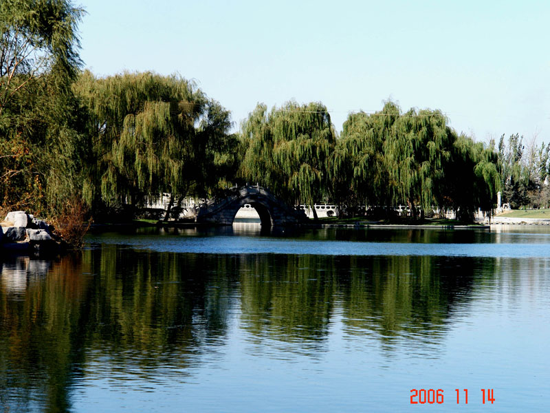 百脉泉风景---4 摄影 莱州人