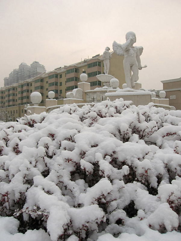 雪 摄影 唐诗三百首