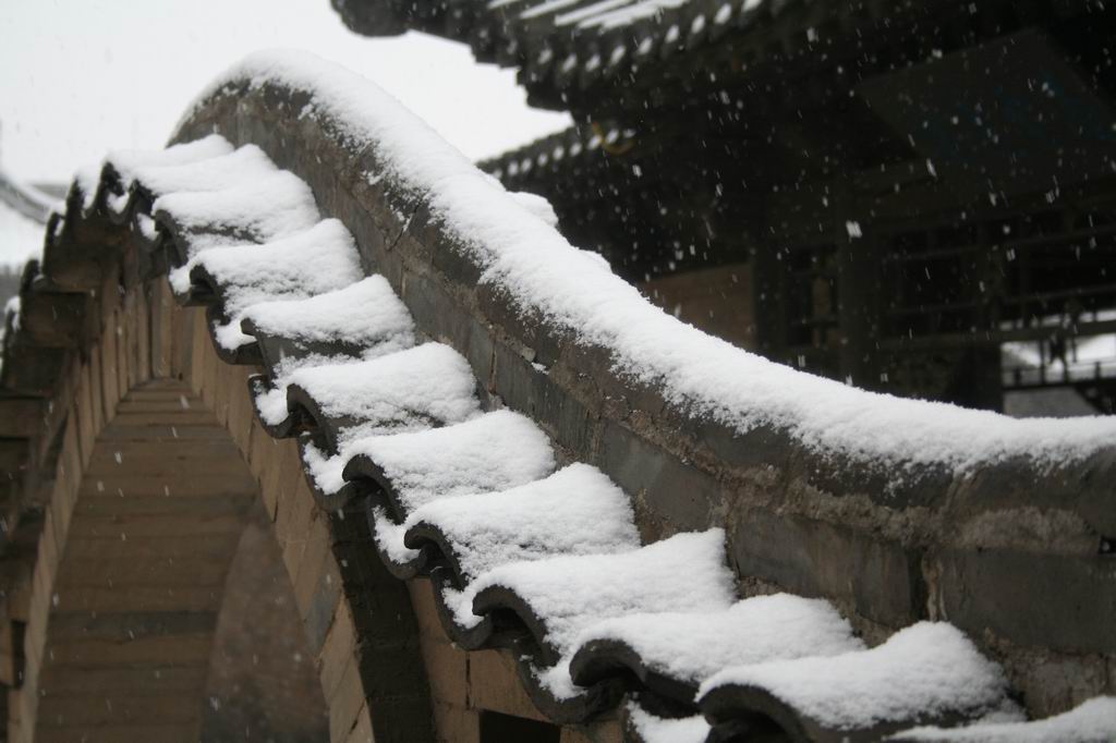 初雪 摄影 一小尾巴