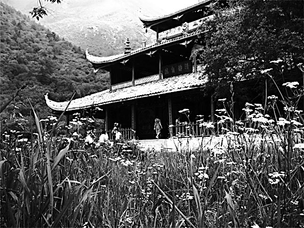 temple 摄影 只如初见