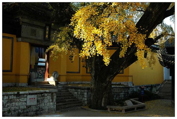 惠山寺 摄影 江南无梦