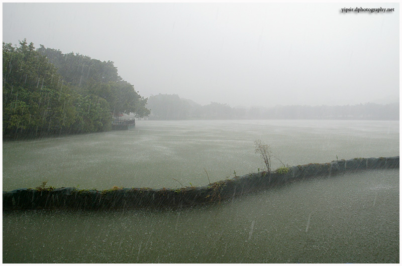 雨 摄影 yipsir