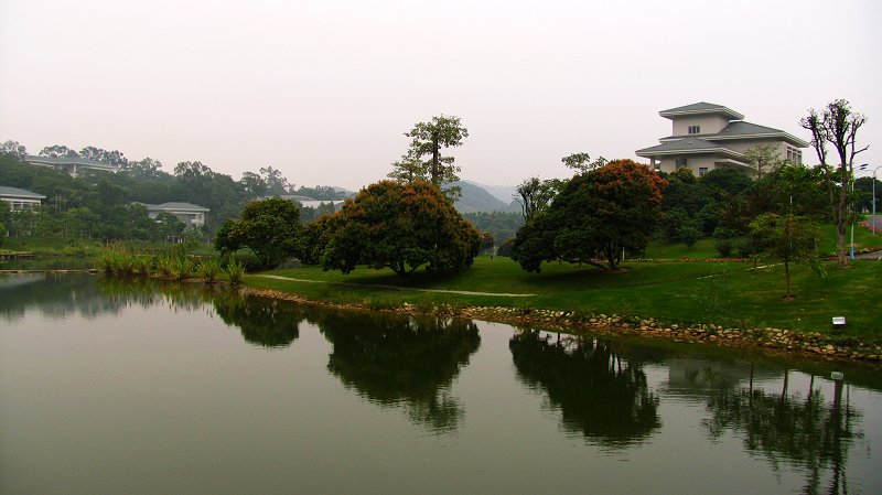 荔园小景 摄影 铱君