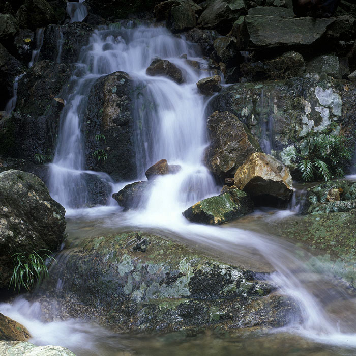 山涧小瀑 摄影 泥坑