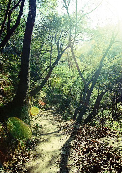 山路 摄影 子鸿