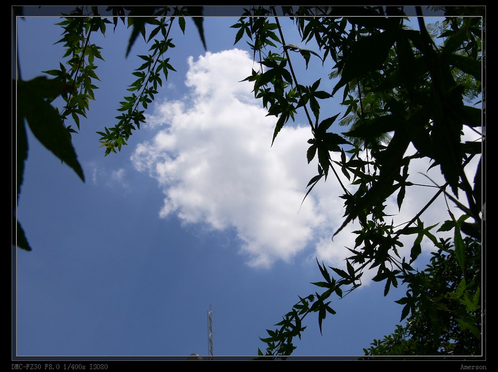 清凉夏日 摄影 千千阙歌