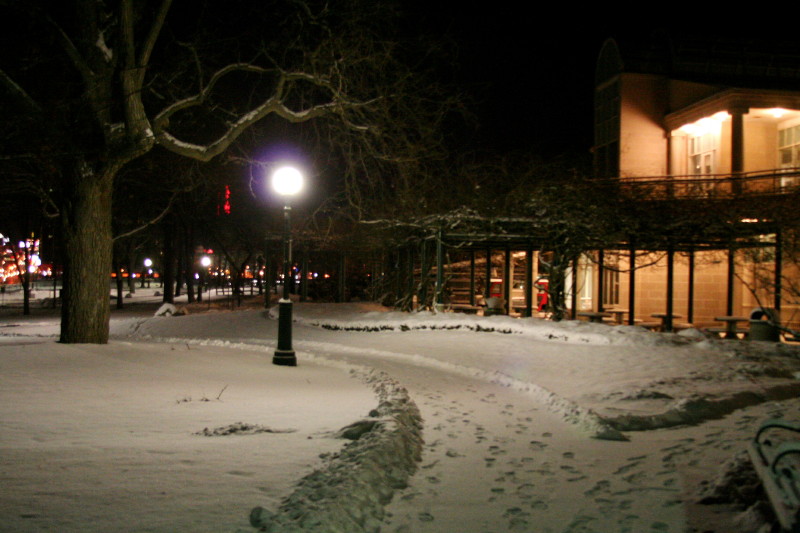 雪夜 摄影 农颜大悦