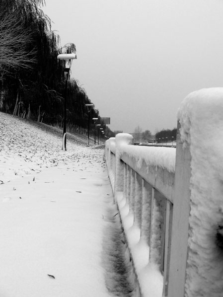 初雪 摄影 四海漂泊