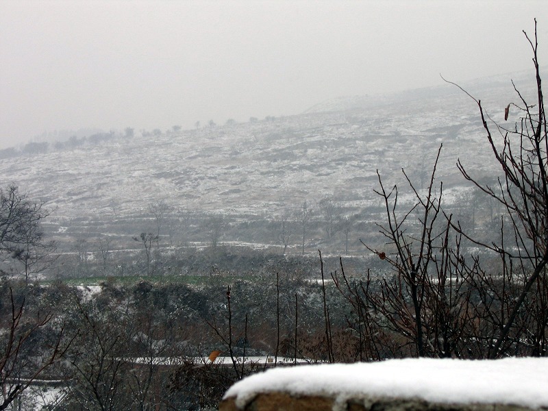 今年冬天的第一场雪2 摄影 zghpds