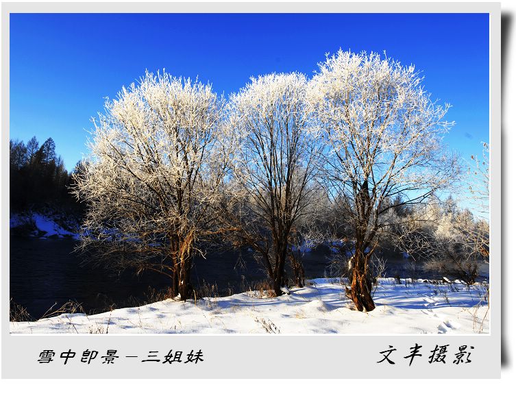 雪中即景－三姐妹 摄影 文丰