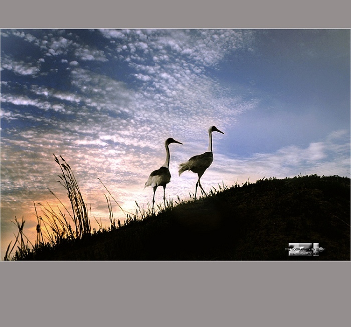 落霞思乡 摄影 华溪野夫