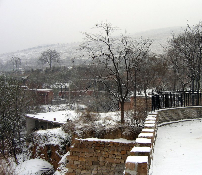 今年冬天的第一场雪4 摄影 zghpds