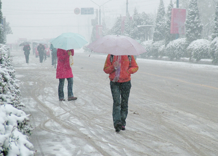 雪中行人 摄影 大自然掠影