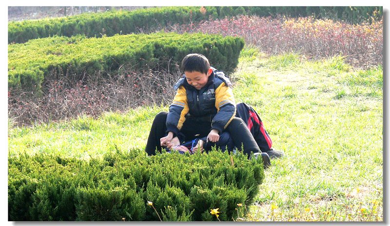 一对顽皮小子3 摄影 飞车