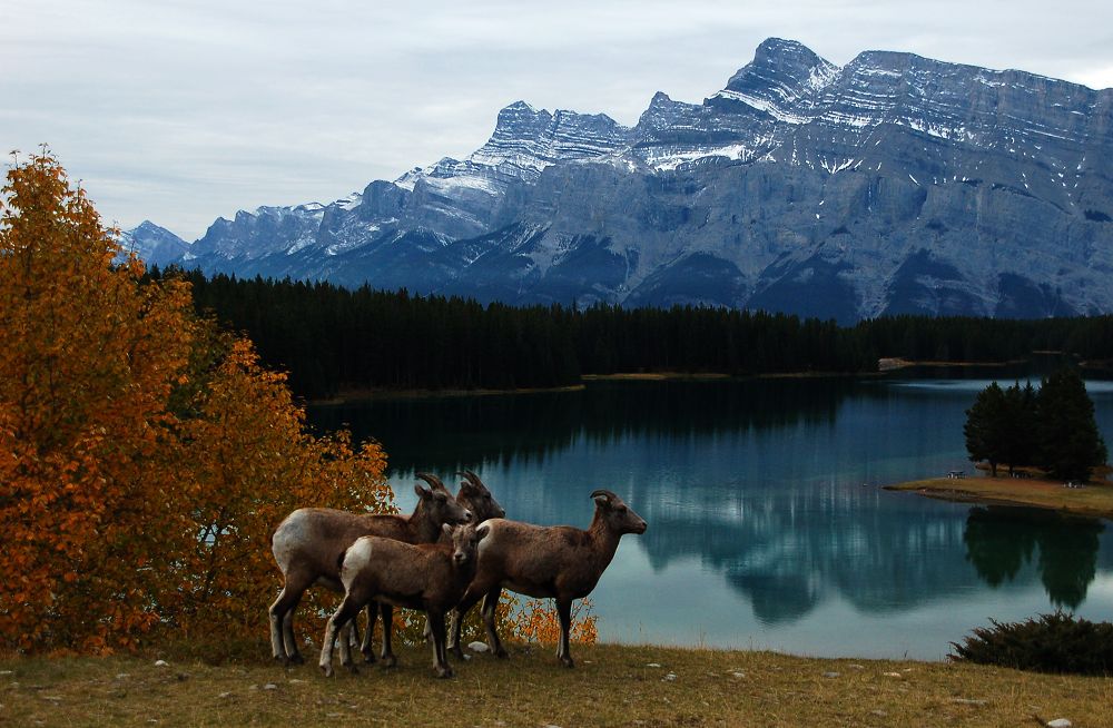 Yoho National Park,Canada 摄影 fruitpassion