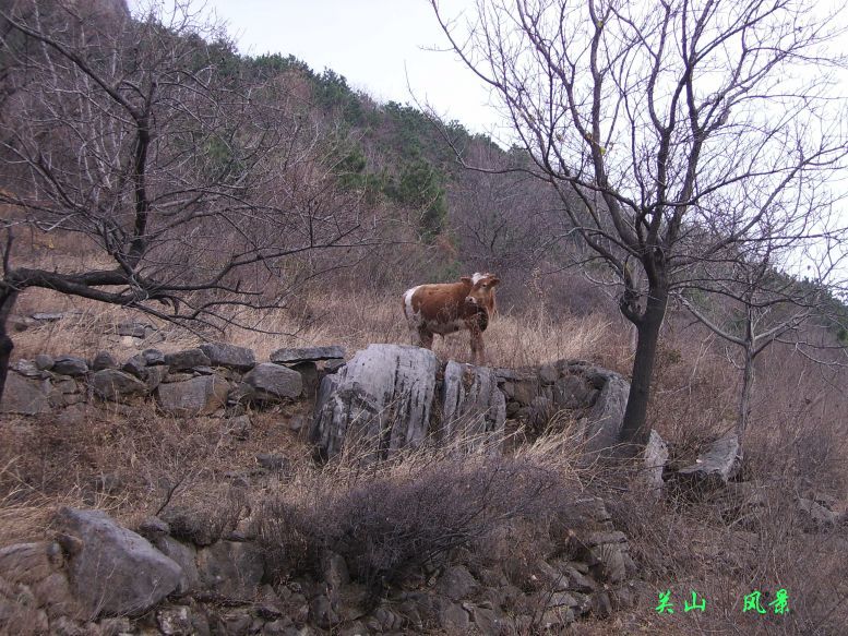 关山  风景 摄影 猎人风采