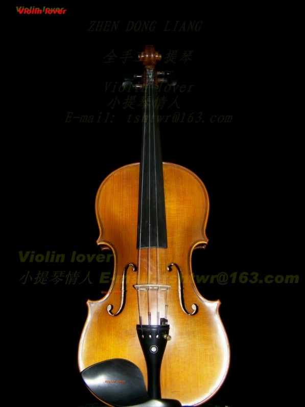 Violin----My_lover (406) 摄影 小提琴情人