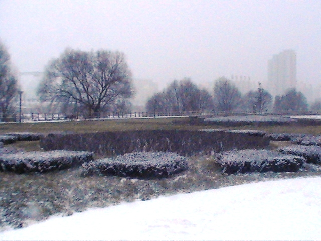 下雪了 摄影 黄河飞龙