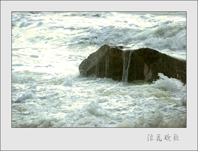 浪花飞歌 摄影 山野布衣