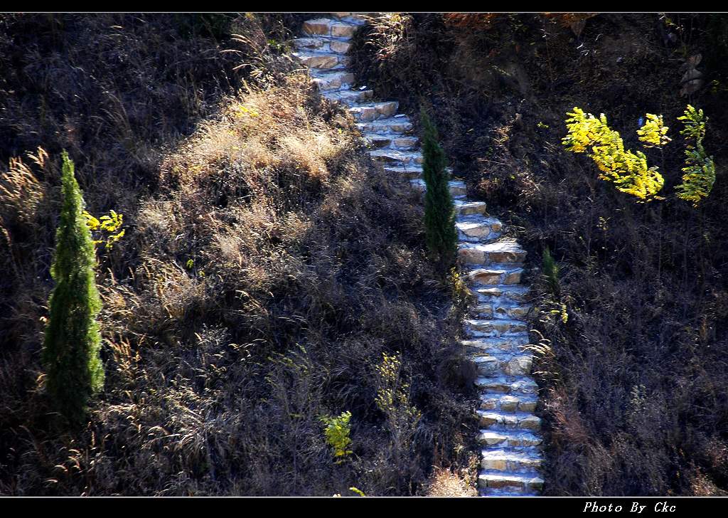 山路 摄影 ckc