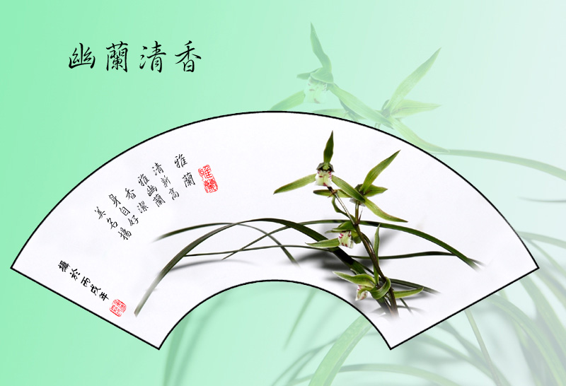 幽兰清香 摄影 林雨