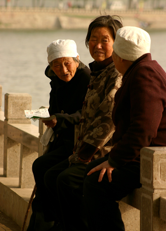 聊天 摄影 菩提天马