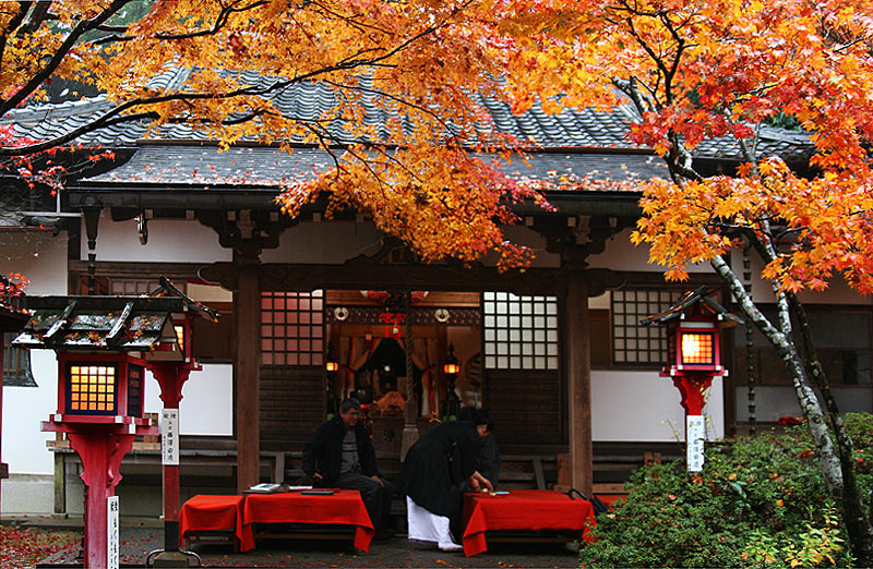 京都红叶—— 祈 摄影 漂泊的云