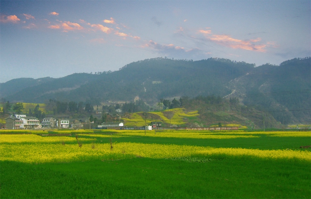 原野 摄影 新哥