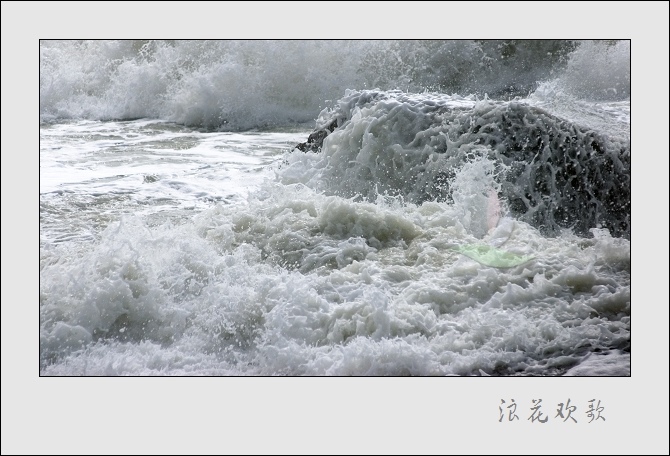 浪花飞歌 摄影 山野布衣