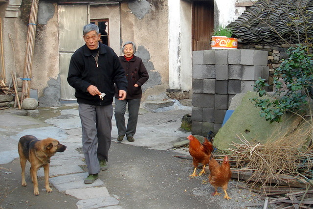 农村小景 摄影 叶韵