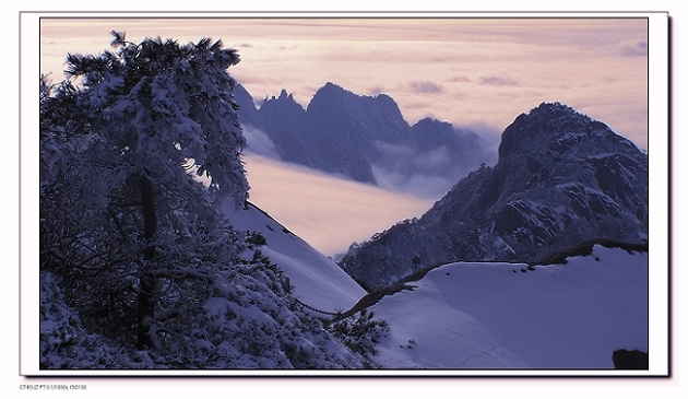 黄山雪景 摄影 yuqazwsx