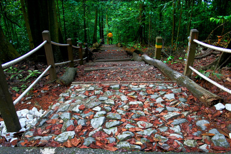 山道 摄影 思念藏匿