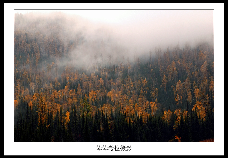 风雨禾木 摄影 51818888